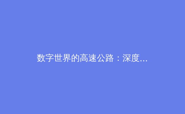 数字世界的高速公路：深度解析网络加速器的原理与应用 - 4