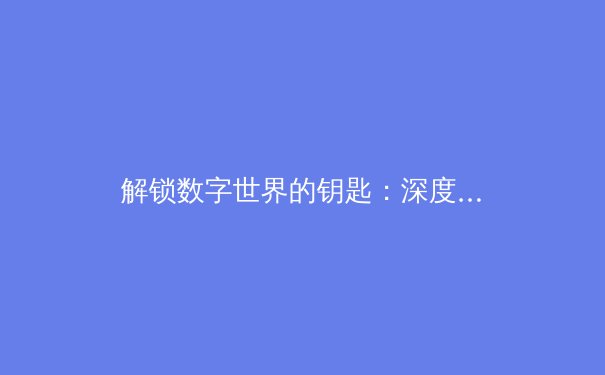 解锁数字世界的钥匙：深度解析网络加速器的原理与价值 - 2